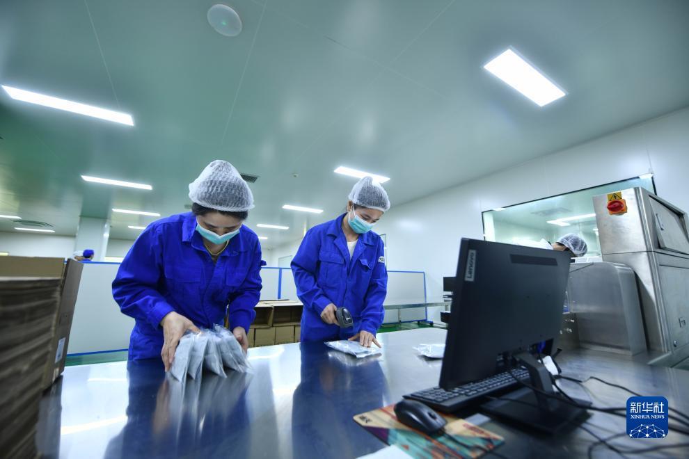 中顺捕鱼大冒险
